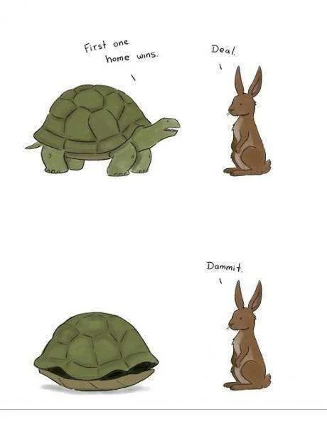 rabbitnturtle.webp