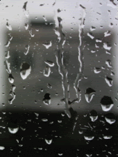 rain-4.gif