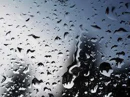 Rain.webp
