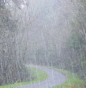 rain1.gif