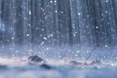 rain2.webp
