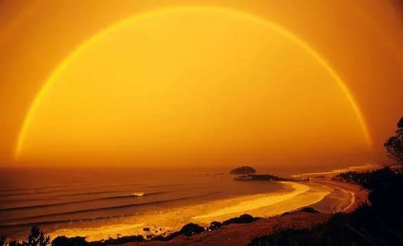 rainbow-lineup-584x356.webp