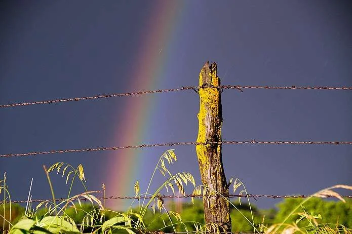 rainbow.webp
