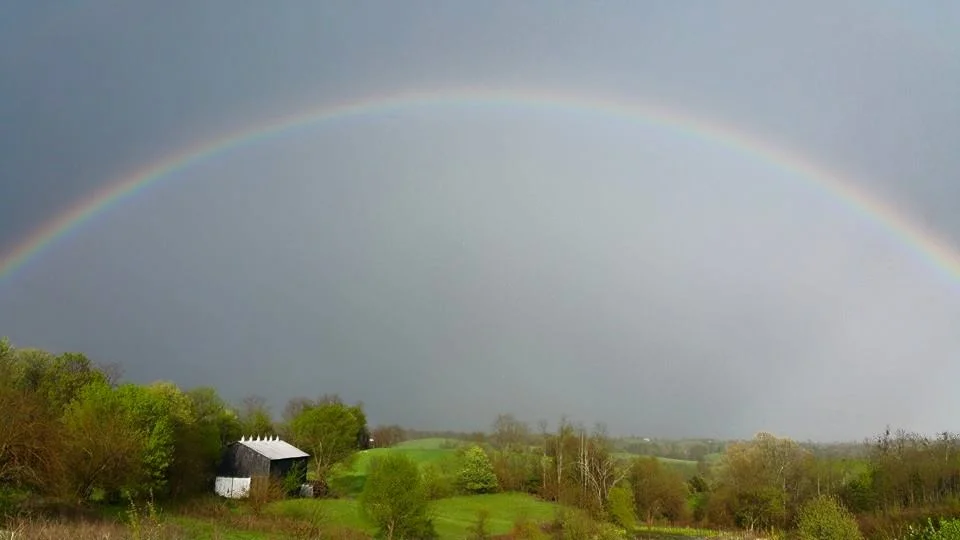 Rainbow.webp