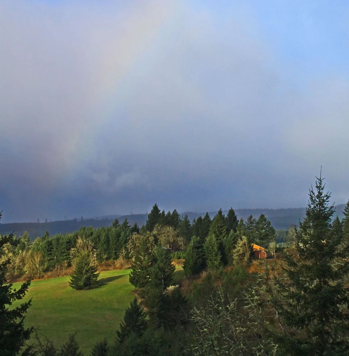 Rainbow_edited-3.webp