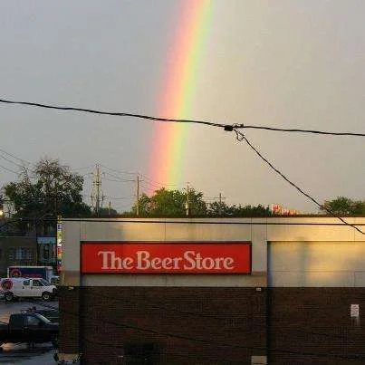 RainbowBeerStore.webp