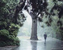 rainphoto1.webp