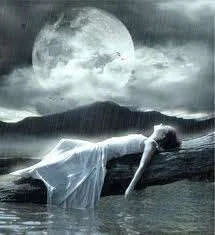 rainphoto4.webp