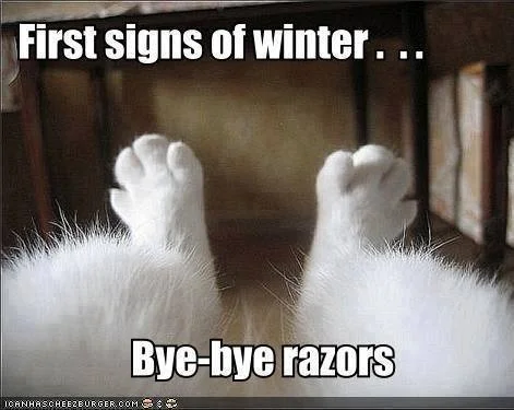 razors.webp