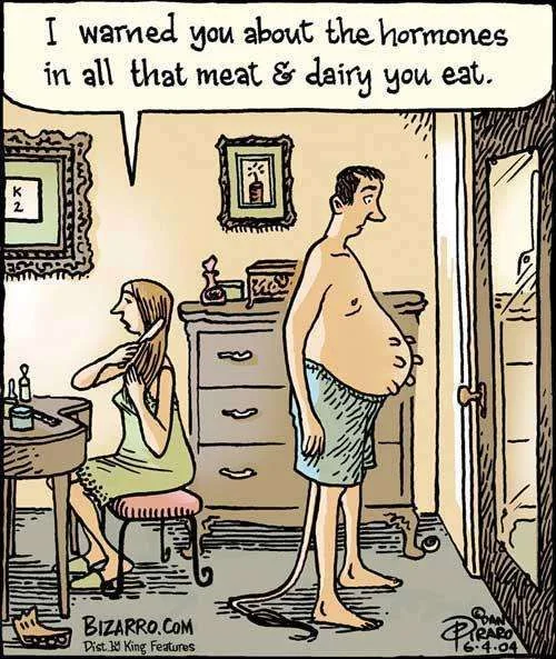 Reason to be vegetarian.webp