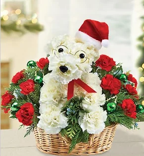 red and white dog bouquet.webp