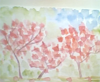 Red Maples 1.webp