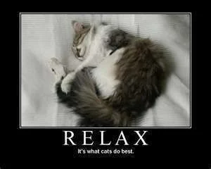 relax.webp
