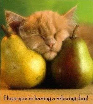relaxing.webp