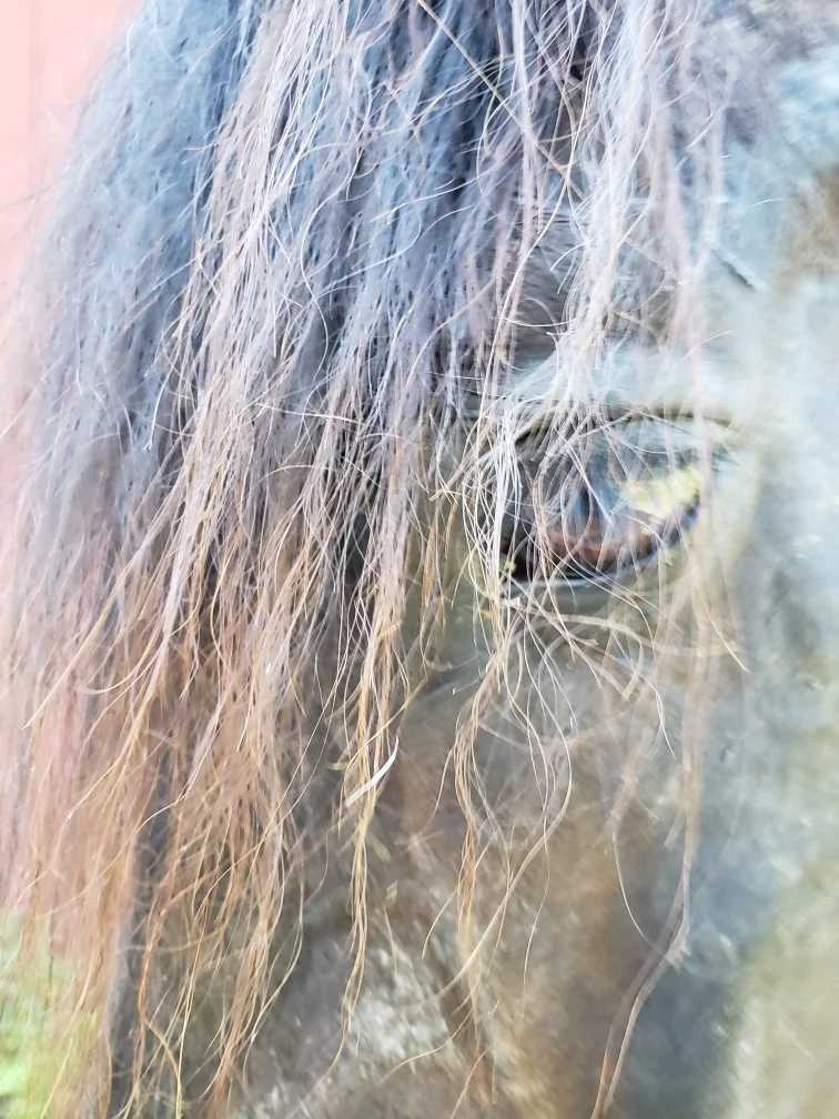 Resized_20190702_094449.webp