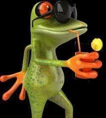 rest froggie_2.webp