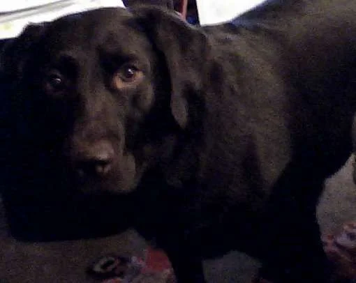 Riley.webp
