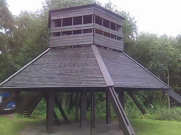 risleymoss3.webp