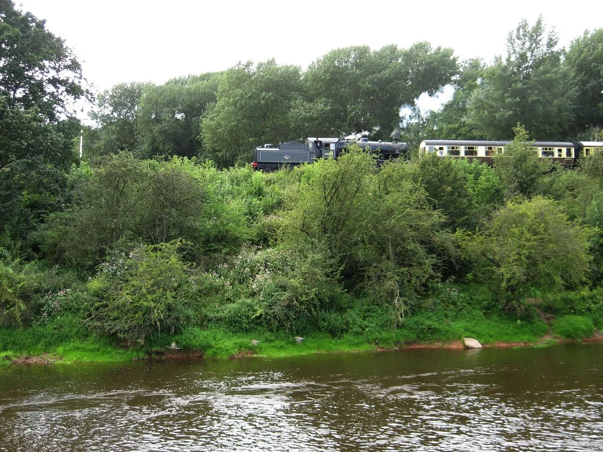 River and Rail.webp