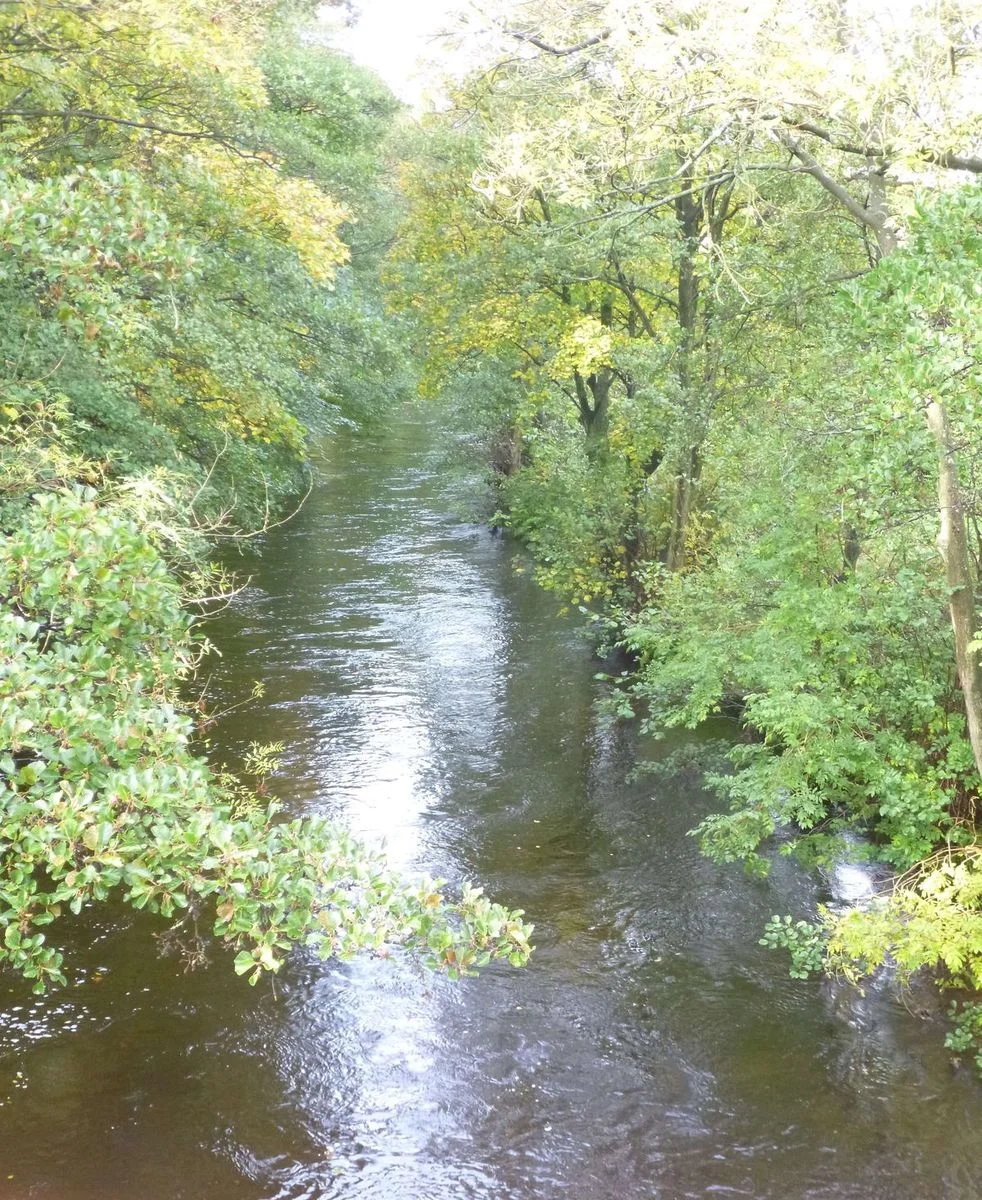 River Nid, Pately Bridge.webp