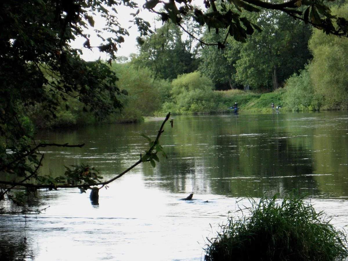 River Severn at Buildwas.webp