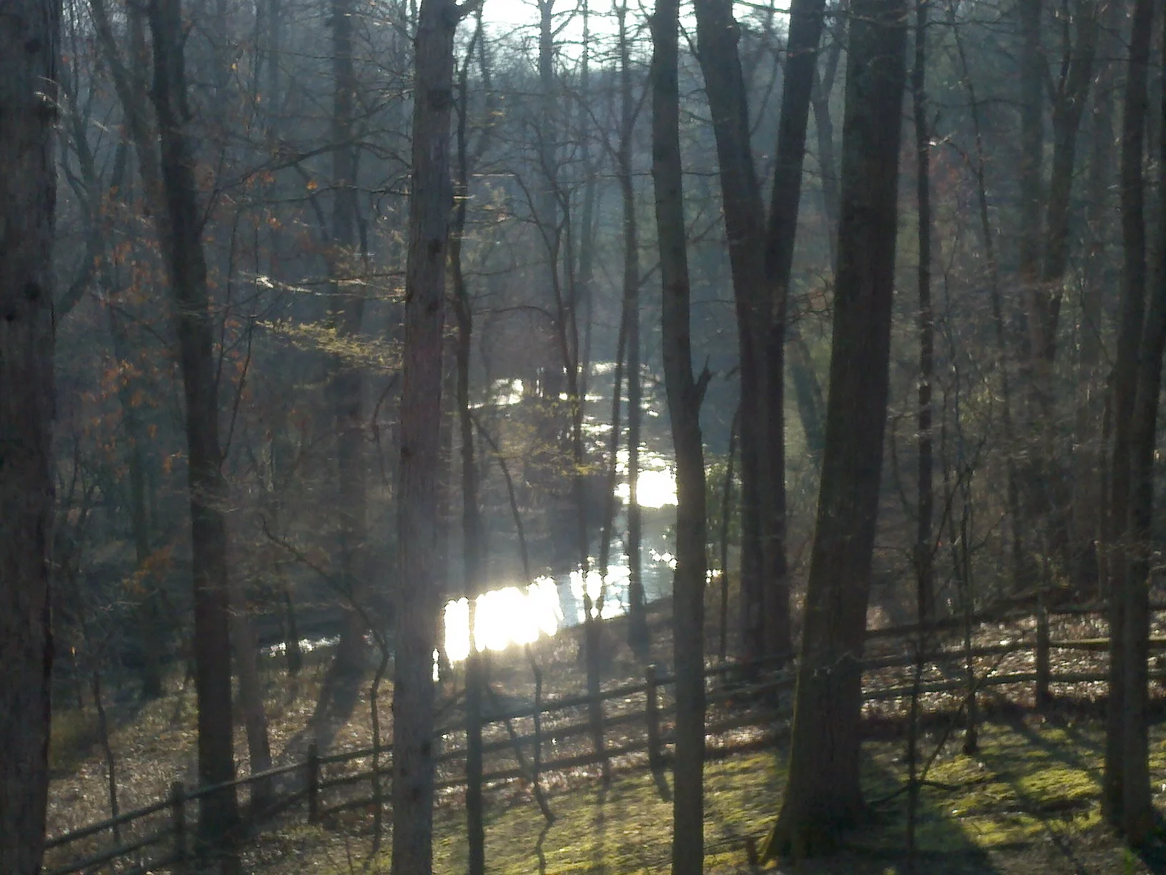 River .webp