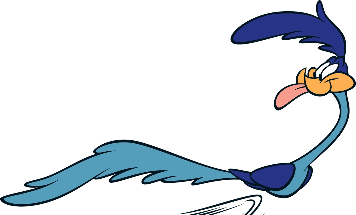 roadrunner.webp