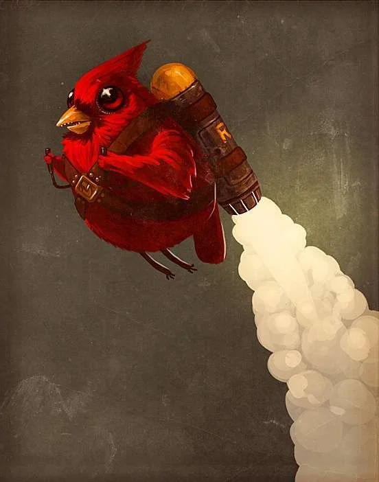 rocketbird-l11.webp