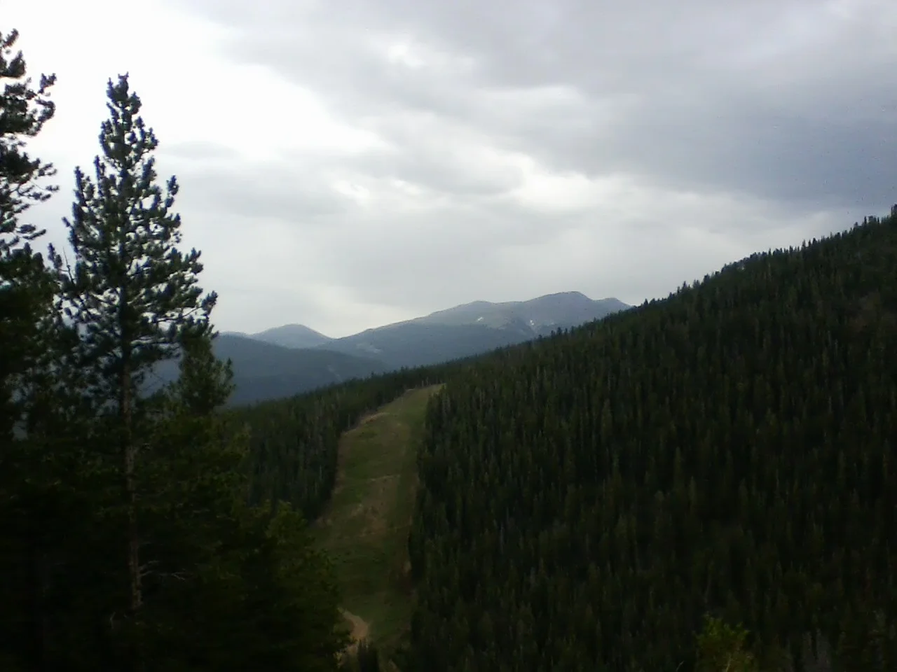 Rockies 2019.webp