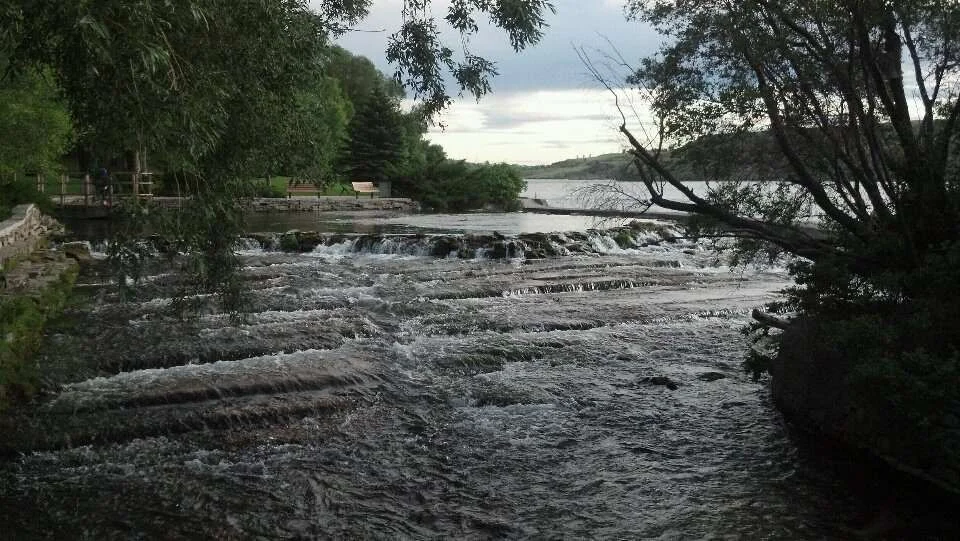 Roe river.webp