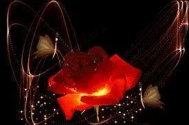 rose.webp
