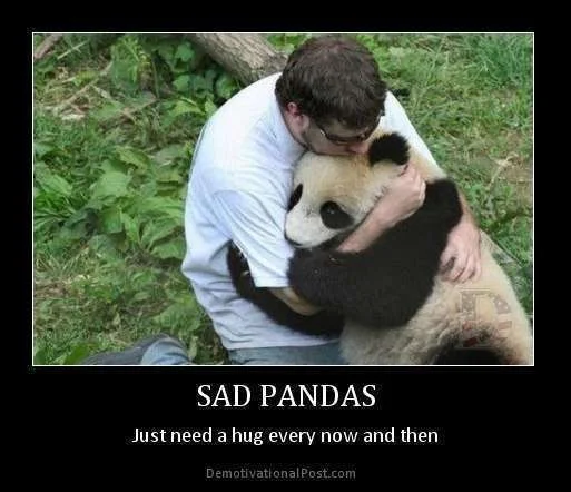 sad-pandas.webp