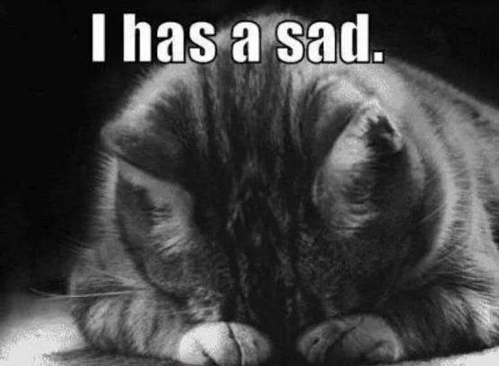 sadkittycrp2.webp