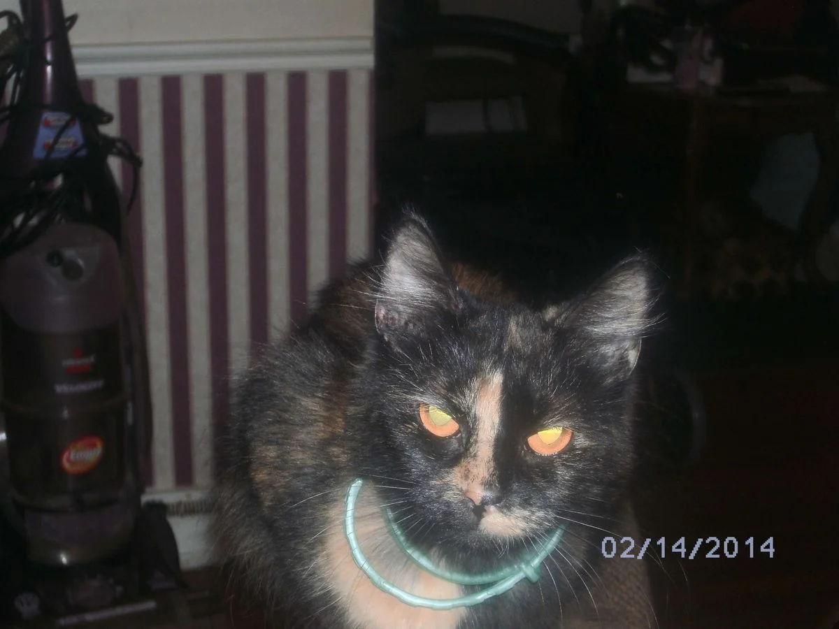 SANY0003.webp