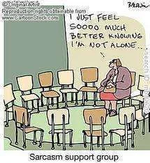 Sarcasm support group.webp