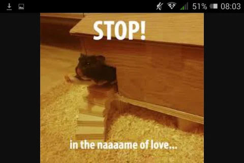 Screenshot_2015-10-27-08-04-00.webp