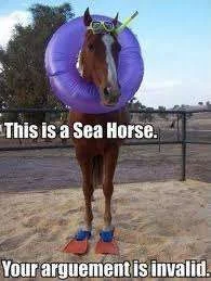 Sea horse.webp