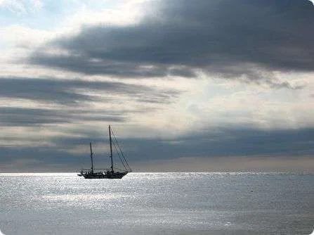 sea-of-peace.webp