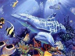 sea.webp