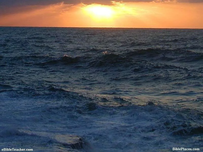 Sea.webp