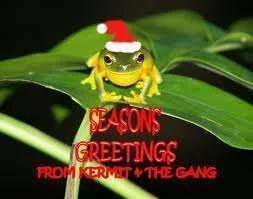 Seasons greeting from Kermit.webp