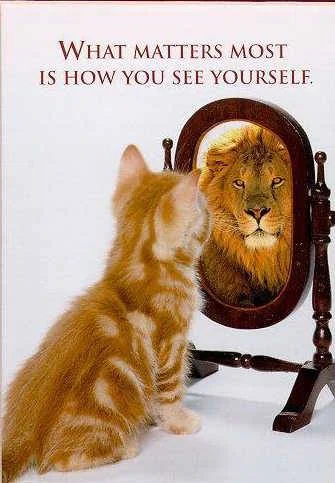 See yourself!.webp