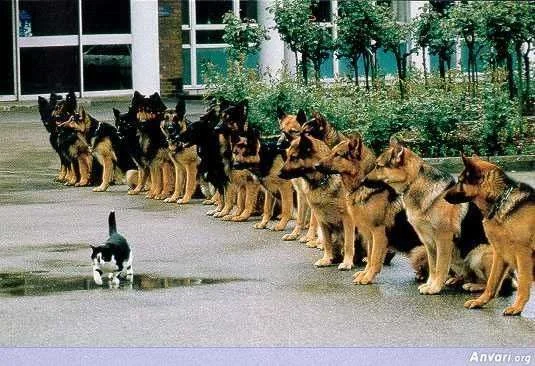 Self_Confidence.webp