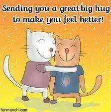 Sending a hug to make you feel better.webp