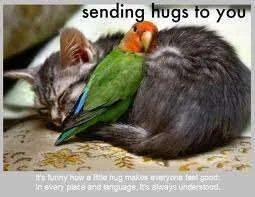 sending hugs to you.webp