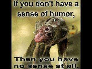senseofhumor.webp