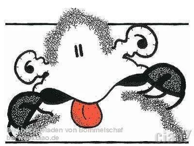 sheep_bllll.webp