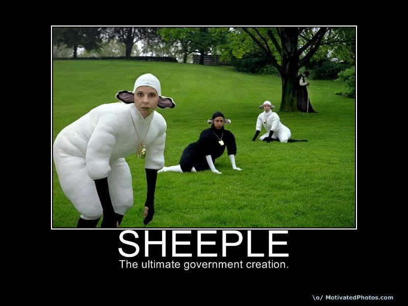 sheeple2.webp