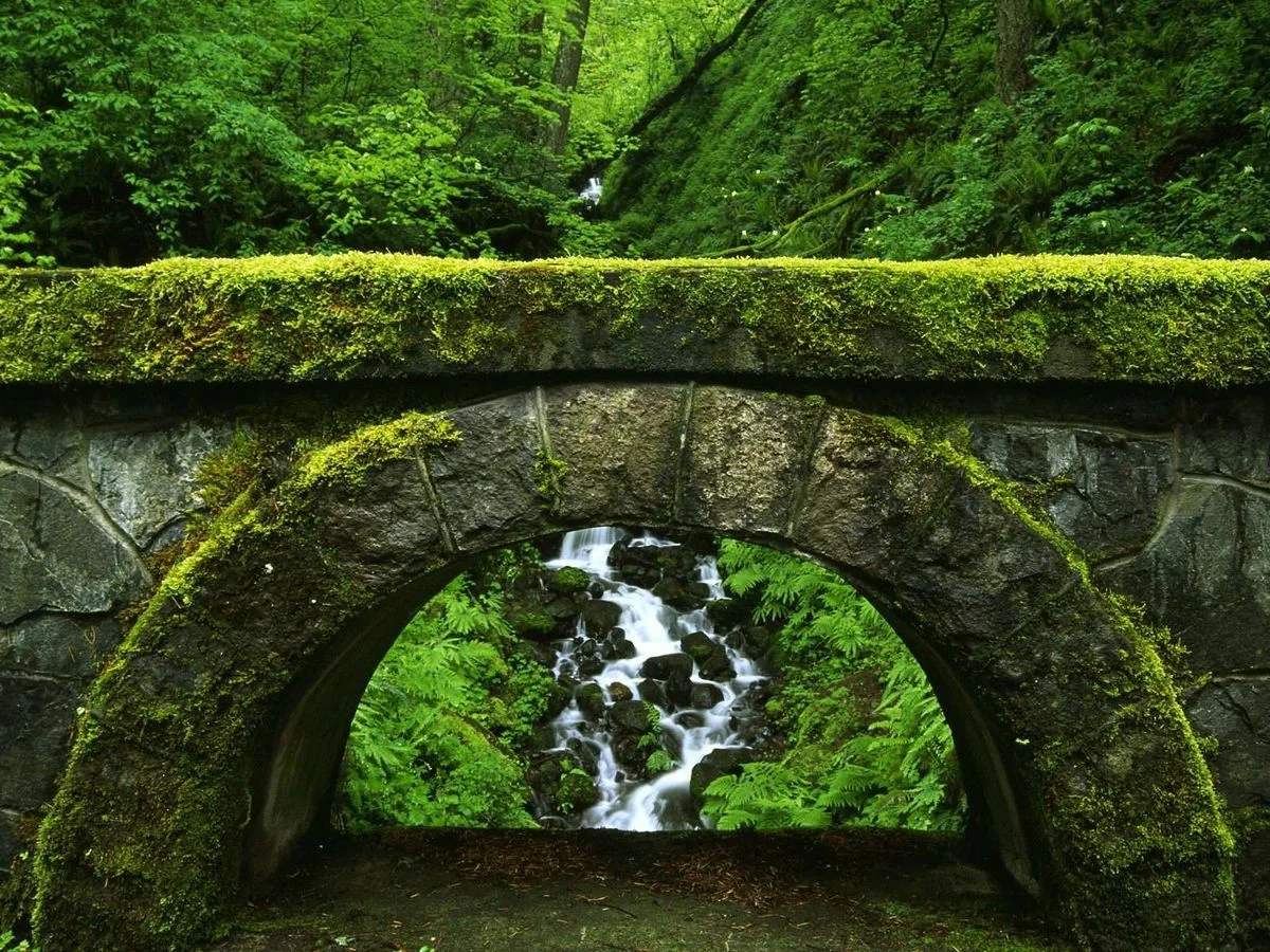 Shepperd\'s Dell State Park, Columbia River Gorge National Scenic Area, Oregon.webp