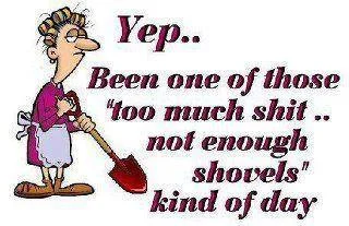 Shovel.webp